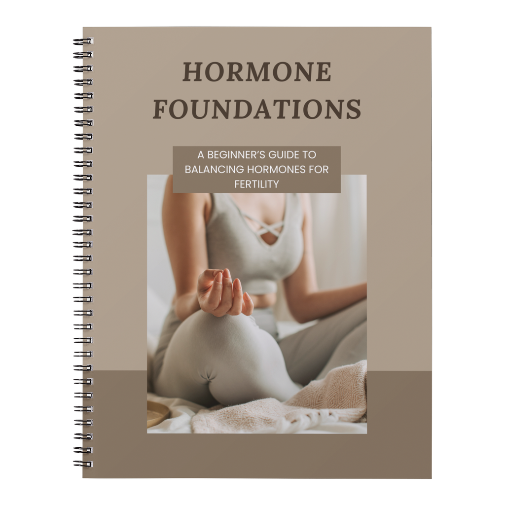 Hormone Foundations beginner hormone guide for fertility ebook cover