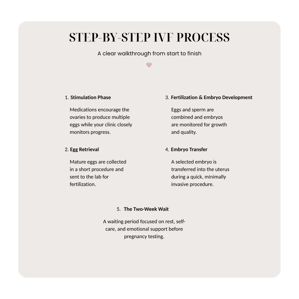 Step-by-step IVF process overview from the IVF Navigator ebook, outlining stimulation, egg retrieval, fertilization, embryo transfer, and the two-week wait.